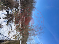 Sinop Saraydüzü Bahşaşlı Köyü Milli Emlak'tan Satılık 1.555,13 m2 Tarla