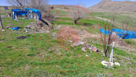 Erzincan Tercan Tepebaşı Köyü Milli Emlak'tan Satılık 1.811,34 m2 Tarla
