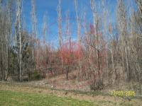 Konya Seydişehir Gökçehüyük Köyü Milli Emlak'tan Satılık 465,76 m2 Tarla