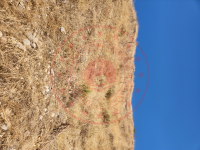 Aydın Nazilli Kestel Köyü Milli Emlak'tan Satılık 3.254,25 m2 Tarla