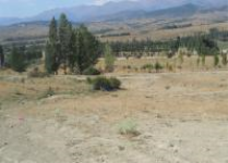 Gümüşhane Şiran Fatih Mahallesi Milli Emlak'tan Satılık 687,84 m2 Tarla