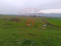 Bingöl Merkez Garip Köyü Milli Emlak'tan Satılık 14.226,56 m2 Tarla