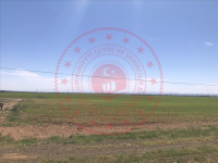 Karaman Merkez Mesudiye Köyü Milli Emlak'tan Satılık 6.835,13 m2 Tarla
