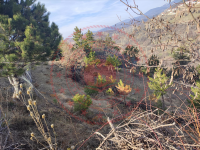 Amasya Merkez Ormanözü Köyü Milli Emlak'tan Satılık 1.279,80 m2 Tarla