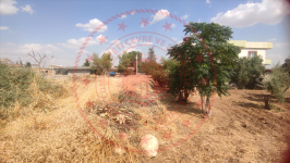 Mardin Artuklu Sulak Köyü Milli Emlak'tan Satılık 457,55 m2 Tarla