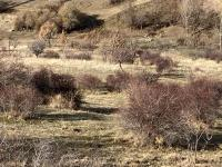 Ankara Pursaklar Saray (Belde) Mahallesi Milli Emlak'tan Satılık 1.055,00 m2 Arsa