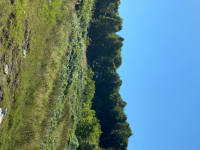 Zonguldak Ereğli Esenköy Milli Emlak'tan Satılık 130,18 m2 Tarla