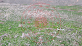 Erzincan Tercan Tepebaşı Köyü Milli Emlak'tan Satılık 500,19 m2 Tarla