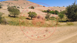 Erzincan Tercan Elmalı Köyü Milli Emlak'tan Satılık 2.837,46 m2 Tarla