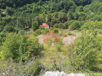 Düzce Kaynaşlı Bıçkıyanı Köyü Milli Emlak'tan Satılık 13.969,32 m2 Tarla