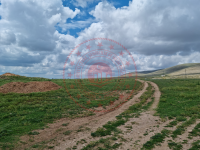 Konya Kadınhanı Mahmudiye Köyü Milli Emlak'tan Satılık 38.099,10 m2 Tarla