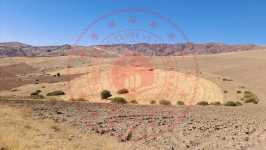 Erzincan Tercan Aktaş Köyü Milli Emlak'tan Satılık 14.847,38 m2 Tarla