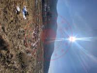 Sinop Saraydüzü Arım Köyü Milli Emlak'tan Satılık 653,08 m2 Tarla