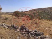 Mardin Artuklu Yalım Köyü Milli Emlak'tan Satılık 12.782,42 m2 Tarla