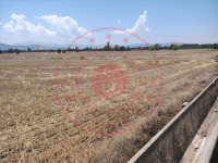 Isparta Atabey İslamköy - Orta Mahallesi Milli Emlak'tan Satılık 716,58 m2 Tarla