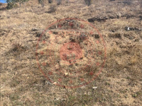 Erzincan Refahiye Şahverdi Köyü Milli Emlak'tan Satılık 913,47 m2 Tarla