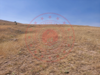 Konya Yunak Yeşilyayla Köyü Milli Emlak'tan Satılık 3.750,00 m2 Tarla