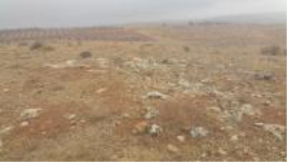 Gaziantep Şahinbey Kürüm Köyü Milli Emlak'tan Satılık 10.290,89 m2 Tarla