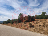 Isparta Atabey Kapıcak Köyü Milli Emlak'tan Satılık 8.792,47 m2 Tarla