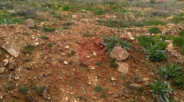 Bingöl Genç Yayla Köyü Milli Emlak'tan Satılık 672,00 m2 Tarla