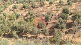 Kahramanmaraş Türkoğlu Kılılı Mahallesi Milli Emlak'tan Satılık 977,04 m2 Tarla