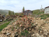 Bitlis Merkez Yayalar (Vastin) Köyü Milli Emlak'tan Satılık 105,80 m2 Tarla