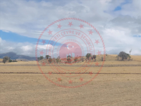 Konya Hüyük Görünmez Köyü Milli Emlak'tan Satılık 3.086,11 m2 Tarla