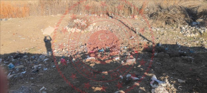 Siirt Eruh Dih Mahallesi Milli Emlak'tan Satılık 249,77 m2 Arsa