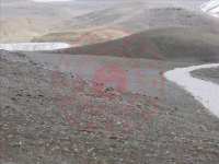 Afyonkarahisar İscehisar Tepecik Mahallesi Milli Emlak'tan Satılık 1.419,53 m2 Arsa