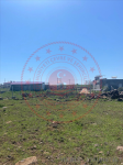 Gaziantep Şahinbey Morcalı Köyü Milli Emlak'tan Satılık 1.684,32 m2 Tarla
