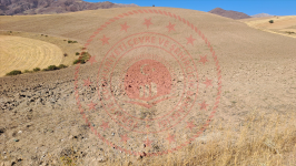 Erzincan Tercan Aktaş Köyü Milli Emlak'tan Satılık 19.655,39 m2 Tarla