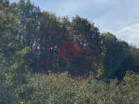 Zonguldak Ereğli Osmanlar Köyü Milli Emlak'tan Satılık 995,16 m2 Tarla