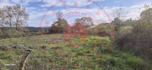 Bursa Mustafakemalpaşa Karaorman Mahallesi Milli Emlak'tan Satılık 880,00 m2 Tarla