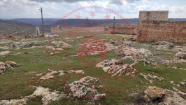 Mardin Midyat Oyuklu Köyü Milli Emlak'tan Satılık 635,11 m2 Tarla