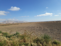 Konya Selçuklu Sarıcalar Köyü Milli Emlak'tan Satılık 32.639,39 m2 Tarla