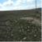 Kayseri Kocasinan Yuvalı Mahallesi Milli Emlak'tan Satılık 628,81 m2 Tarla