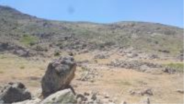 Malatya Hekimhan Dikili Köyü Milli Emlak'tan Satılık 1.709,58 m2 Tarla