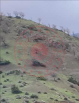 Bingöl Genç Servi Milli Emlak'tan Satılık 886,06 m2 Tarla