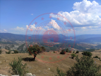Sinop Durağan Erenköy Köyü Milli Emlak'tan Satılık 1.119,41 m2 Tarla