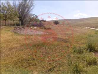 Kırıkkale Keskin Yoncalı Köyü Milli Emlak'tan Satılık 1.134,31 m2 Tarla