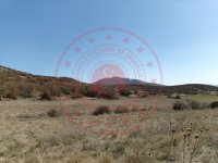 Konya Seydişehir Bostandere Kasabası Milli Emlak'tan Satılık 6.590,68 m2 Tarla