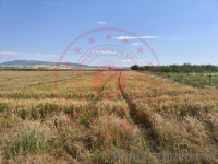 Edirne Enez Küçükevren Köyü Milli Emlak'tan Satılık 543,06 m2 Tarla
