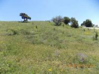 Kütahya Merkez Eskiyüreğil Köyü Milli Emlak'tan Satılık 17.554,60 m2 Tarla