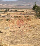 Bingöl Genç Meşedalı Köyü Milli Emlak'tan Satılık 500,00 m2 Tarla