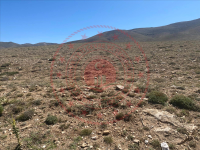 Kırşehir Merkez Yağmurlu - Sayobası Köyü Milli Emlak'tan Satılık 1.000,00 m2 Tarla