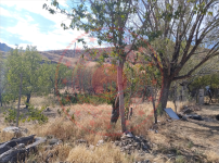 Kırıkkale Delice Baraklı Köyü Milli Emlak'tan Satılık 685,90 m2 Tarla