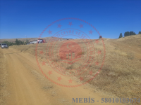 Sivas Merkez Çeltek Köyü Milli Emlak'tan Satılık 510,12 m2 Tarla