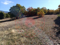 Konya Beyşehir Akçabelen Kasabası Milli Emlak'tan Satılık 1.536,51 m2 Tarla