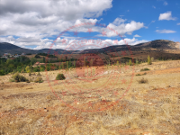 Konya Hüyük İlmen Kasabası Milli Emlak'tan Satılık 433,10 m2 Tarla